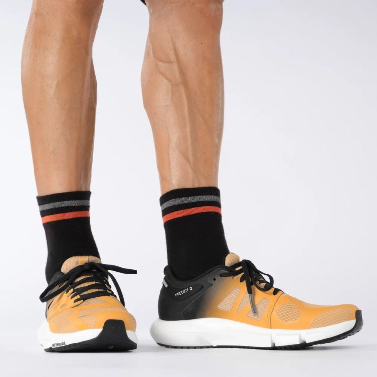 Mango / Black Salomon Predict 2 Men's Running Shoes | IE ZA7816